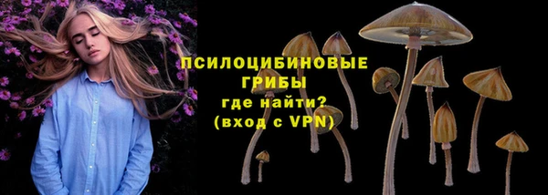 синтетический гашиш Краснослободск