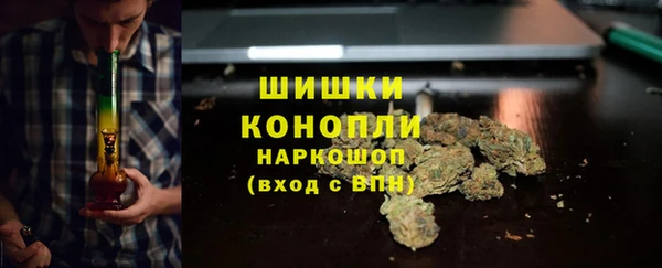 индика Красноперекопск