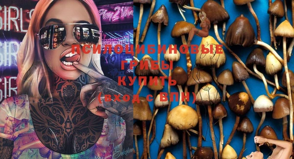 a pvp Кулебаки