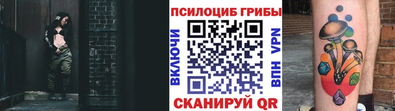 kraken ТОР Суджа Галлюциногенные грибы Psilocybine cubensis купить наркотики сайты